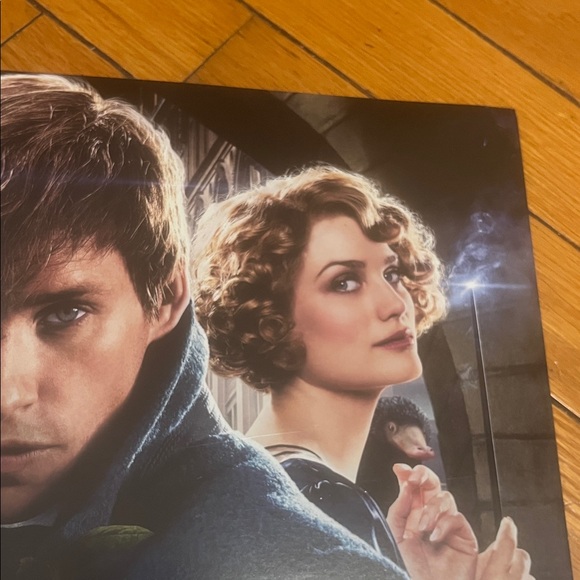 Harry Potter Original fantastic beasts poster 2018 NEW - Picture 8 of 10